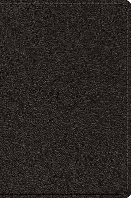 ESV Preaching Bible, Verse-by-Verse Edition - cover