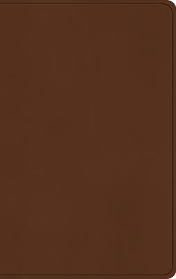 ESV Large Print Value Thinline Bible - cover