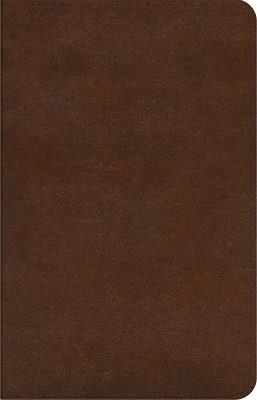 ESV Concise Study Bible™ - cover