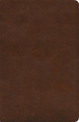 ESV Spanish/English Parallel Bible - cover