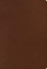 ESV Men's Study Bible