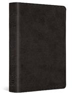 ESV Value Large Print Compact Bible