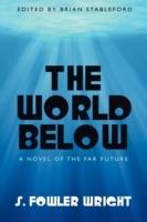 The World Below: A Novel of the Far Future - S Fowler Wright - cover