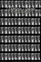 Libro in inglese Between Blinks (Personal Reflection  - Calvin Thomas