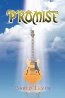 Promise - David Levin - cover