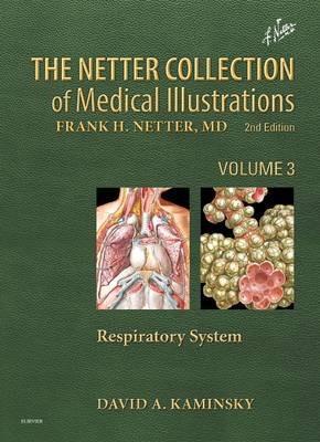 The Netter Collection of Medical Illustrations: Respiratory System: Volume 3 - David A. Kaminsky - cover