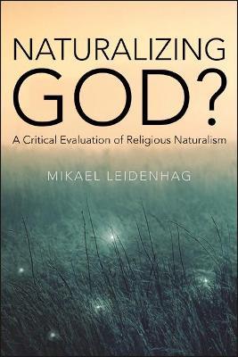 Naturalizing God?: A Critical Evaluation of Religious Naturalism - Mikael Leidenhag - cover
