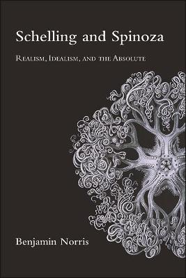 Schelling and Spinoza: Realism, Idealism, and the Absolute - Benjamin Norris - cover