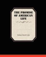The Promise Of American Life - Herbert David Croly - cover