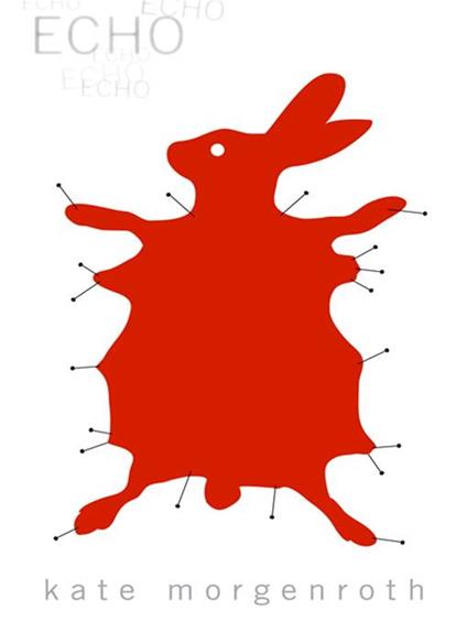 Echo - Kate Morgenroth - ebook