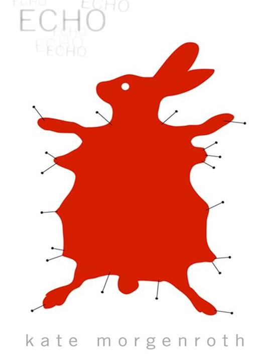 Echo - Kate Morgenroth - ebook