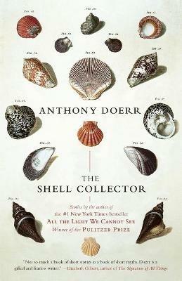 The Shell Collector: Stories - Anthony Doerr - cover