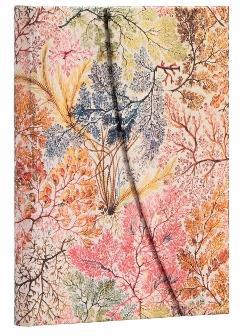 Taccuino Paperblanks copertina rigida Midi a righe Anemone - 13 x 18 cm