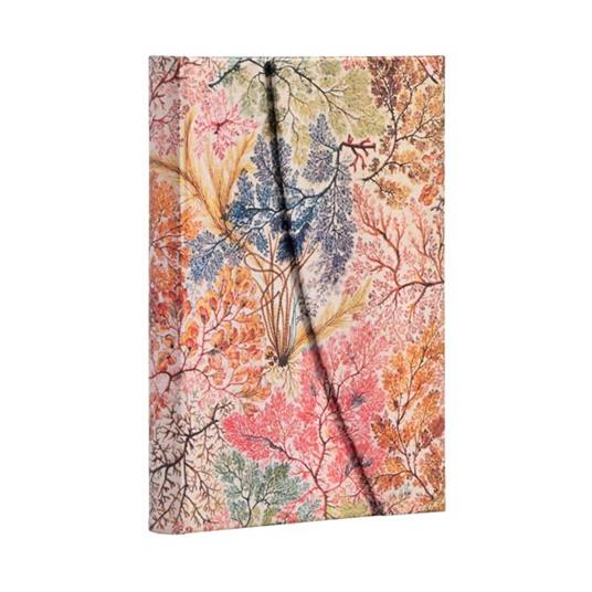 Taccuino Paperblanks copertina rigida Mini a righe Anemone - 10 x 14 cm - 3