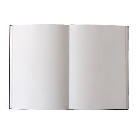 Taccuino per gli schizzi Paperblanks, Collezione Antica Pelle, Macchia d'Inchiostro, Grande - 21 x 30 cm - 5