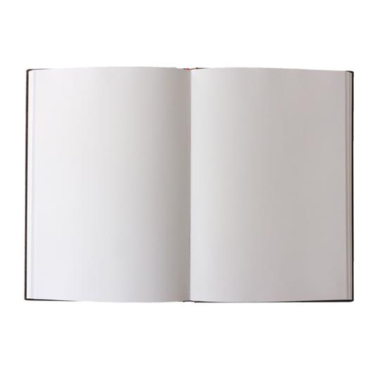 Taccuino per gli schizzi Paperblanks, Collezione Antica Pelle, Macchia d'Inchiostro, Grande - 21 x 30 cm - 5