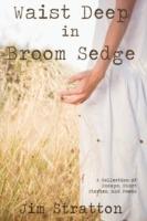 Waist Deep in Broom Sedge: A Collection of Essays, Short Stories, and Poems - Jim Stratton - cover