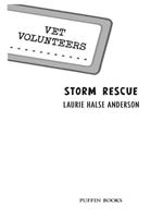 Storm Rescue