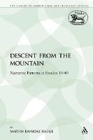 The Descent from the Mountain: Narrative Patterns in Exodus 19-40 - Martin Ravndal Hauge - cover