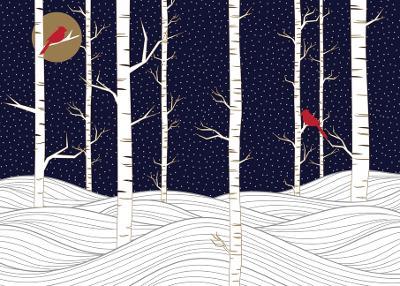 Birch Trees in Winter Deluxe Boxed Holiday Cards (20 Cards, 21 Self-Sealing Envelopes) - cover