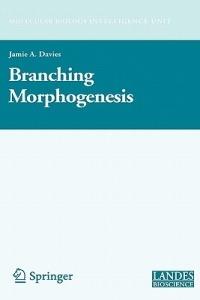 Branching Morphogenesis - cover