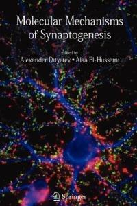 Molecular Mechanisms of Synaptogenesis - cover