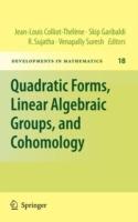 Quadratic Forms, Linear Algebraic Groups, and Cohomology - cover
