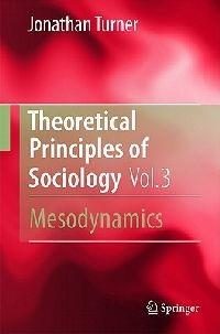 Theoretical Principles of Sociology, Volume 3: Mesodynamics - Jonathan H. Turner - cover