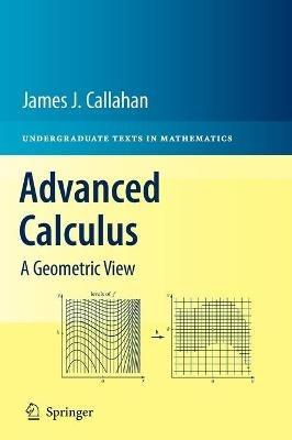 Advanced Calculus: A Geometric View - James J. Callahan - cover