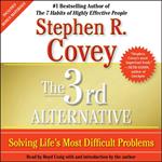 The 3rd Alternative