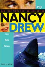 Trade Wind Danger