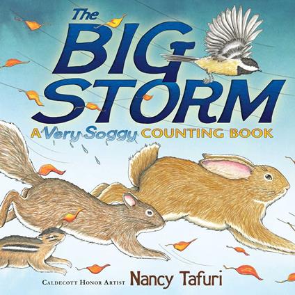 The Big Storm - Nancy Tafuri - ebook