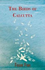The Birds Of Calcutta