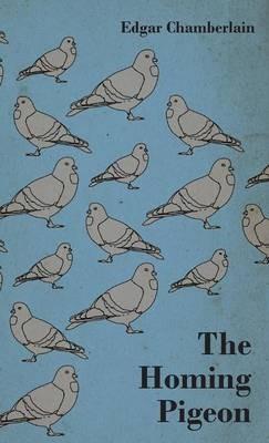 The Homing Pigeon - Edgar Chamberlain - cover