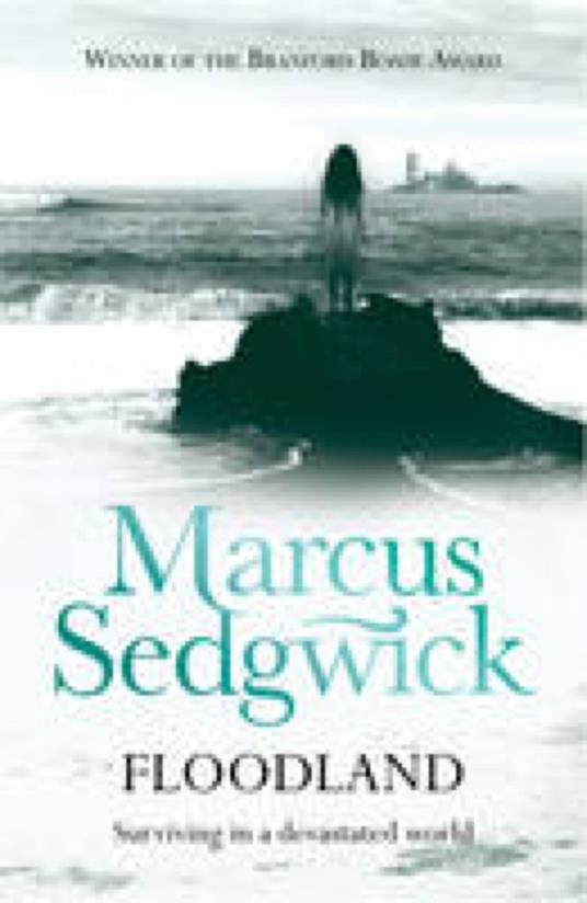 Floodland - Marcus Sedgwick - ebook