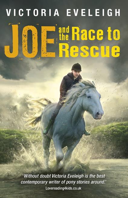 Joe and the Race to Rescue - Victoria Eveleigh - ebook
