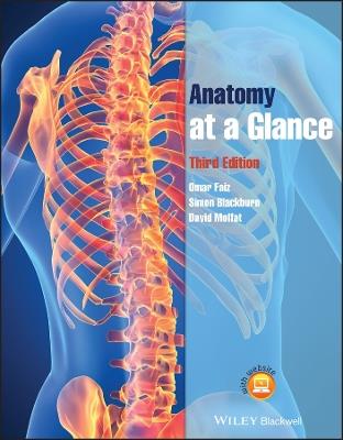 Anatomy at a Glance - Omar Faiz,Simon Blackburn,David Moffat - cover