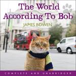 The World According to Bob