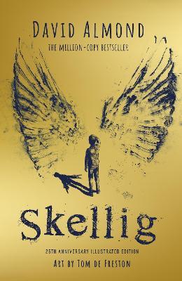 Skellig: the 25th anniversary illustrated edition - David Almond - cover