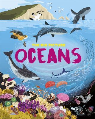 The Big Picture: Oceans - Jon Richards - cover