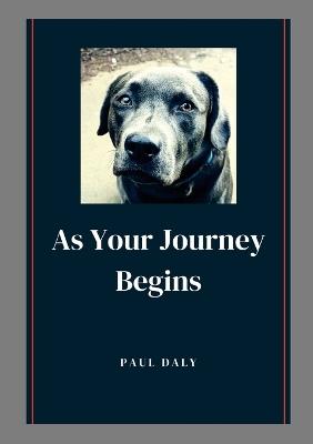 As your Journey Begins - Paul Anthony Daly - cover