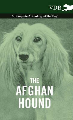 The Afghan Hound - A Complete Anthology of the Dog - - Various - cover