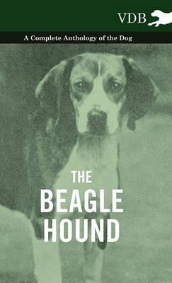 The Beagle Hound - A Complete Anthology of the Dog - - Various - cover