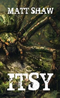 Itsy - Matt Shaw - cover