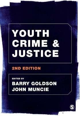 Youth Crime and Justice - cover