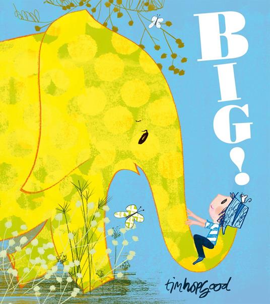 Big! - Tim Hopgood - ebook