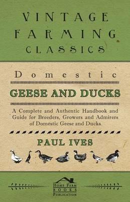 Domestic Geese And Ducks - A Complete And Authentic Handbook And Guide For Breeders, Growers And Admirers Of Domestic Geese And Ducks - Paul Ives - cover
