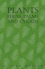 Plants - Ferns, Palms and Cycads