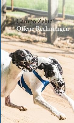 Offene Rechnungen: Ausfälle und Kampfkühe: Fussnoten der Sportgeschichte - Campo Zeludi - cover