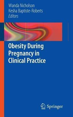 Obesity During Pregnancy in Clinical Practice - cover